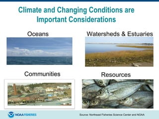 Source: Northeast Fisheries Science Center and NOAA
Watersheds & EstuariesOceans
ResourcesCommunities
Climate and Changing Conditions are
Important Considerations
 