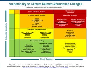 Ocean & Northern Quahogs
Atlantic Salmon
Bay Scallop
14 Atlantic species including: 18 species including:
Halibut
Scallop
Surfclam
Tilefish
Witch flounder
Northern Shrimp
Winter flounder
Oysters
River herring
Shortnose & Atlantic
sturgeons
Shellfish (blue mussel,
softshell crab, whelks,
blue crab)
Stripe bass
Tautog
12 Atlantic species including
Red drum
American eel
Conger eel
Black sea bass
Spotted sea trout
Cod
Redfish
Mackerel
Sandlance
Lobster
Hagfish
Pollock
Skate species
21 species including
Summer flounder
Spanish mackerel
Atlantic croaker
Spot Northern kingfish
Menhaden
Weakfish
Scup
Butterfish
Squid species
Bluefish
Deep-sea red crab
Hake species (silver, red,
offshore)
Skate species (winter,
clearnose)
Anchovies
Flounders (yellowtail,
windowpane)
Haddock
Atlantic Herring
Vulnerability to Climate Related Abundance Changes
Climate Exposure
BiologicalSensitivity
Please note: These predictions have varying degrees of certainty
Adapted from : Hare JA, Morrison WE, Nelson MW, Stachura MM, Teeters EJ, et al. (2016) A Vulnerability Assessment of Fish and
Invertebrates to Climate Change on the Northeast U.S. Continental Shelf. PLoS ONE 11(2): e0146756. doi:10.1371/journal.pone.0146756
 