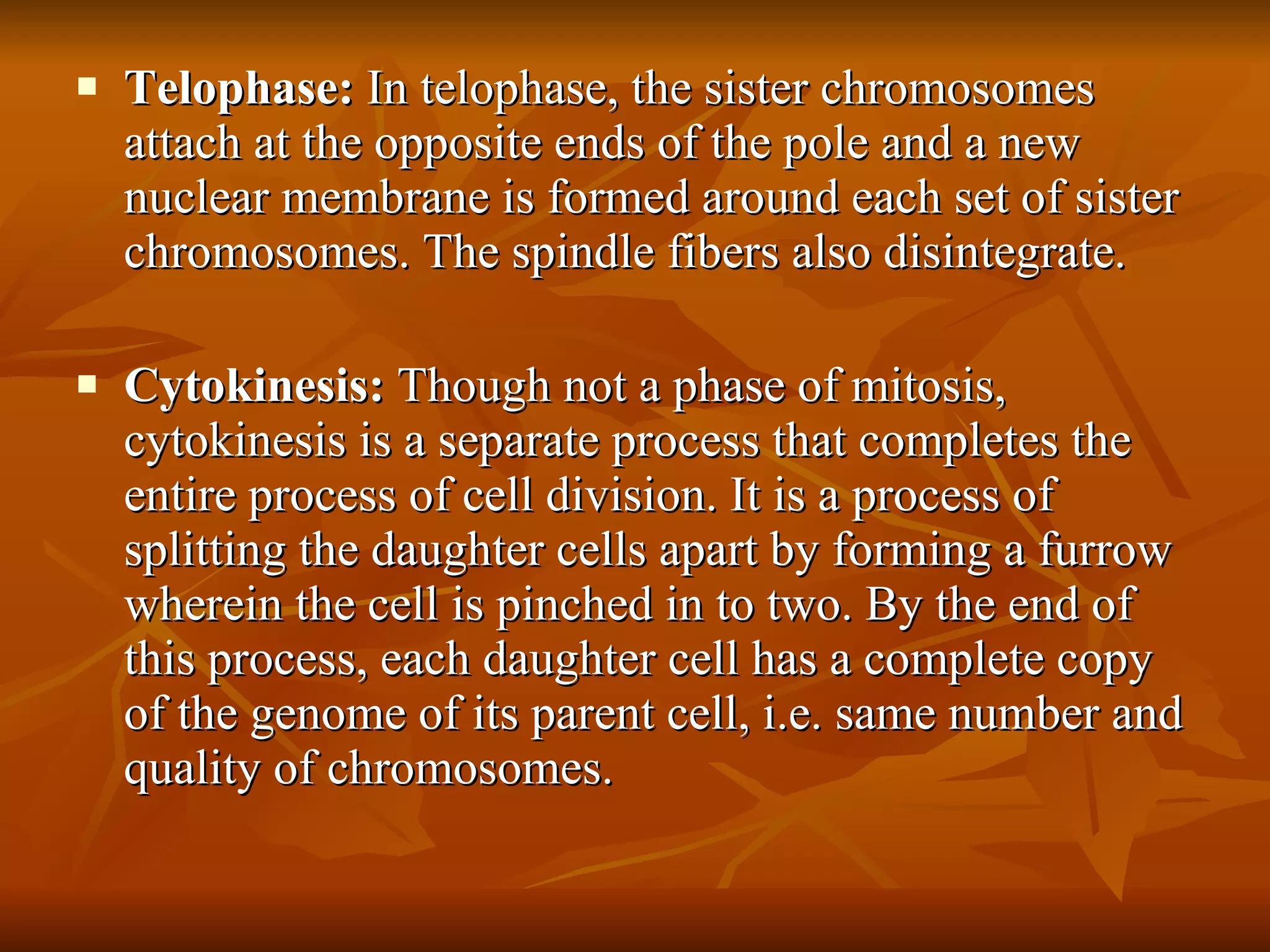 Telophase:  In telophase, the sister chromosomes attach at the opposite ends of the pole and a new nuclear membrane is formed around each set of sister chromosomes. The spindle fibers also disintegrate. Cytokinesis:  Though not a phase of mitosis, cytokinesis is a separate process that completes the entire process of cell division. It is a process of splitting the daughter cells apart by forming a furrow wherein the cell is pinched in to two. By the end of this process, each daughter cell has a complete copy of the genome of its parent cell, i.e. same number and quality of chromosomes. 