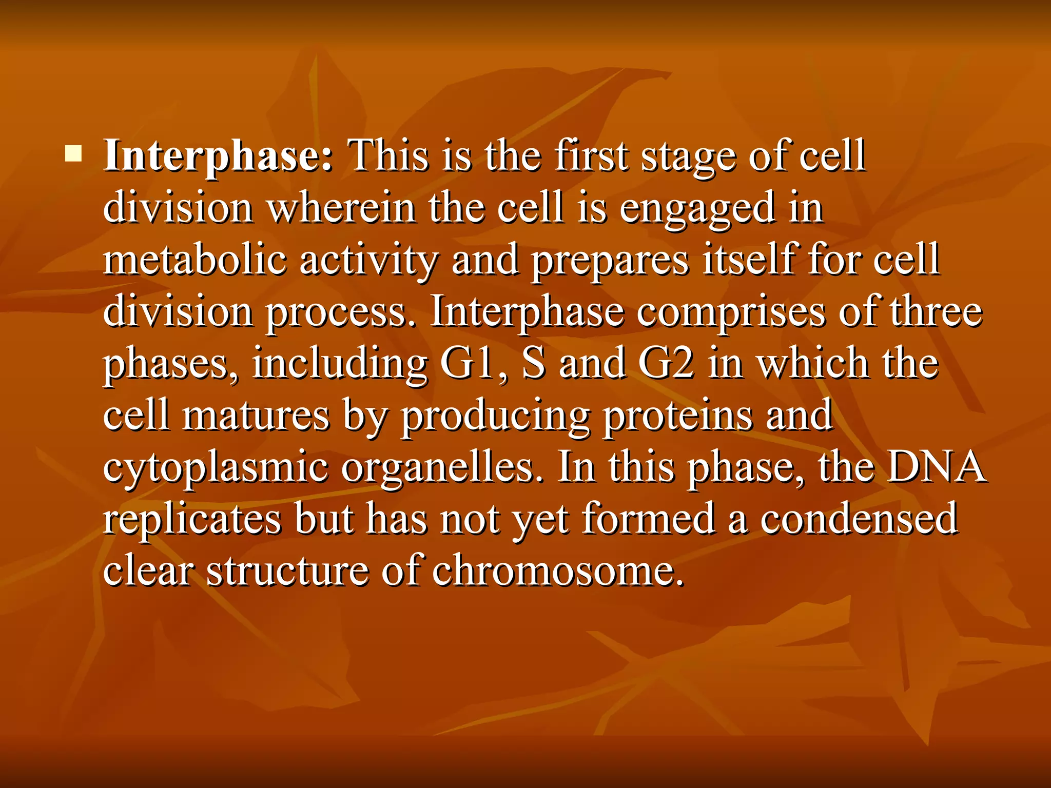 Interphase:  This is the first stage of cell division wherein the cell is engaged in metabolic activity and prepares itself for cell division process. Interphase comprises of three phases, including G1, S and G2 in which the cell matures by producing proteins and cytoplasmic organelles. In this phase, the DNA replicates but has not yet formed a condensed clear structure of chromosome.  