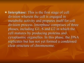 Interphase:  This is the first stage of cell division wherein the cell is engaged in metabolic activity and prepares itself for cell division process. Interphase comprises of three phases, including G1, S and G2 in which the cell matures by producing proteins and cytoplasmic organelles. In this phase, the DNA replicates but has not yet formed a condensed clear structure of chromosome.  