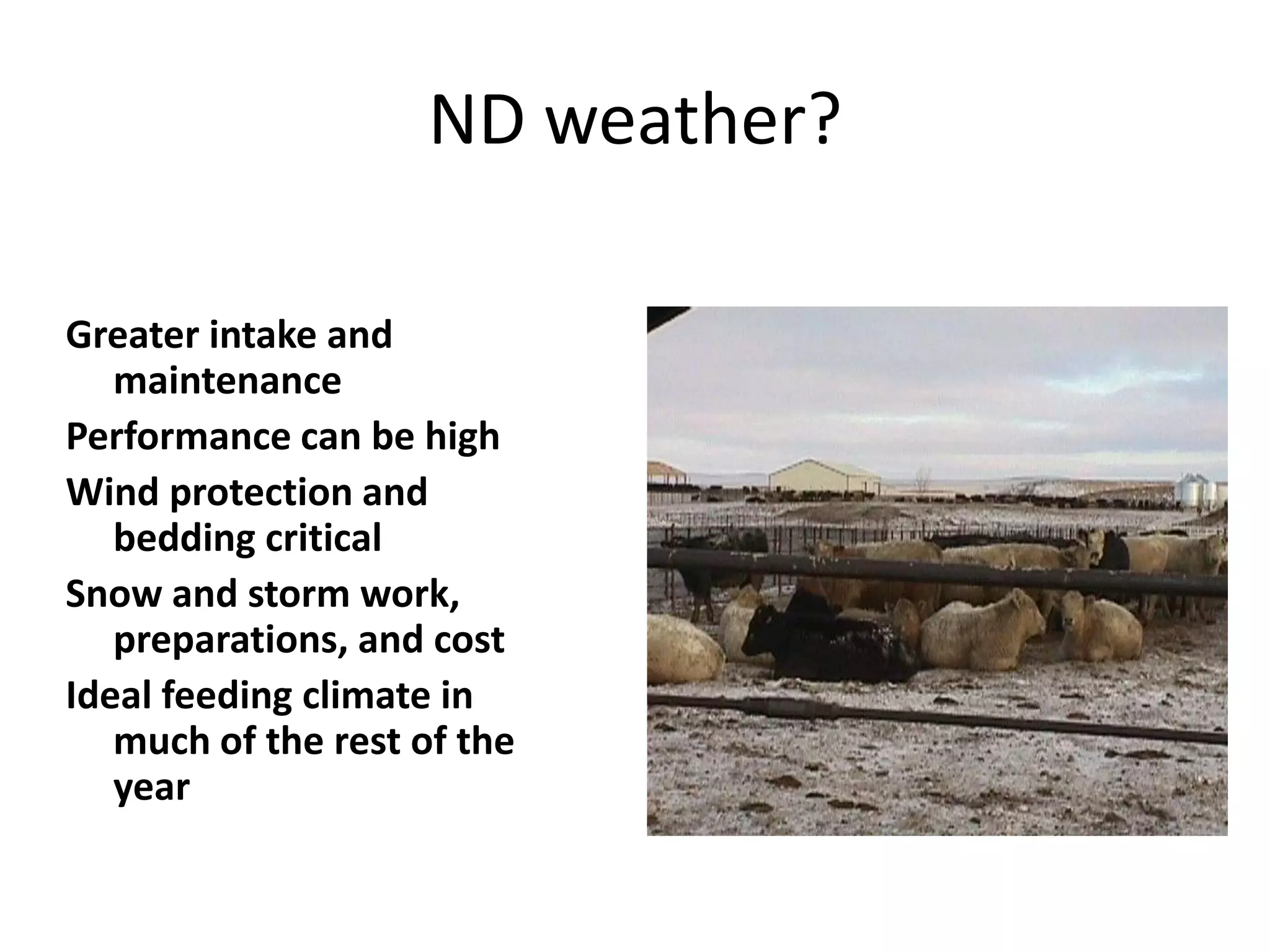 How about our Winter Weather?ND weather?Greater intake and maintenancePerformance can be highWind protection and bedding criticalSnow and storm work,   preparations, and costIdeal feeding climate in much of the rest of the year