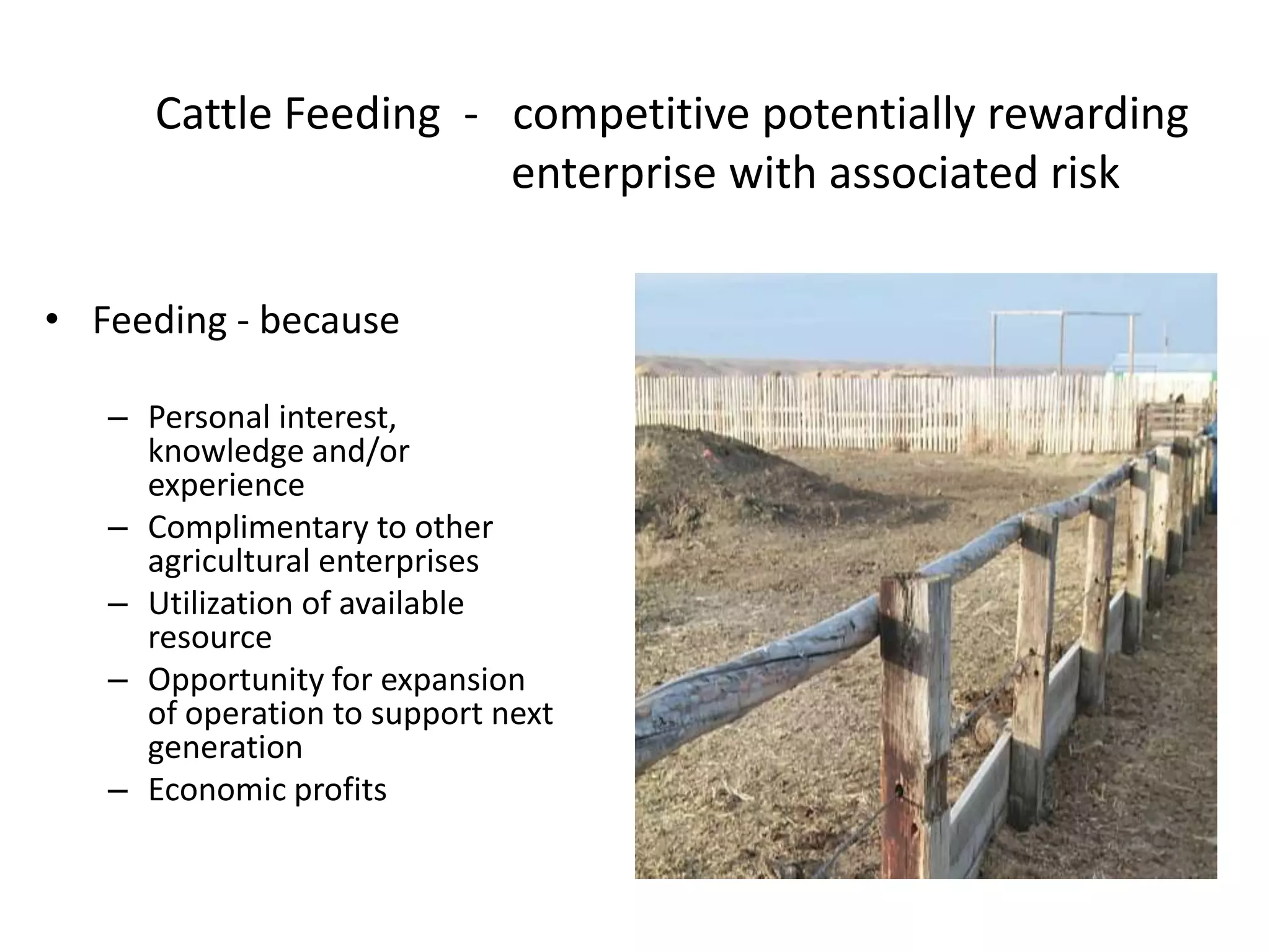 Cattle Feeding  -   competitive potentially rewarding 		   enterprise with associated riskFeeding - because Personal interest, knowledge and/or experienceComplimentary to other agricultural enterprisesUtilization of available resourceOpportunity for expansion of operation to support next generationEconomic profits