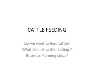 CATTLE FEEDING Do we want to feed cattle? What kind of  cattle feeding ? Business Planning steps? 