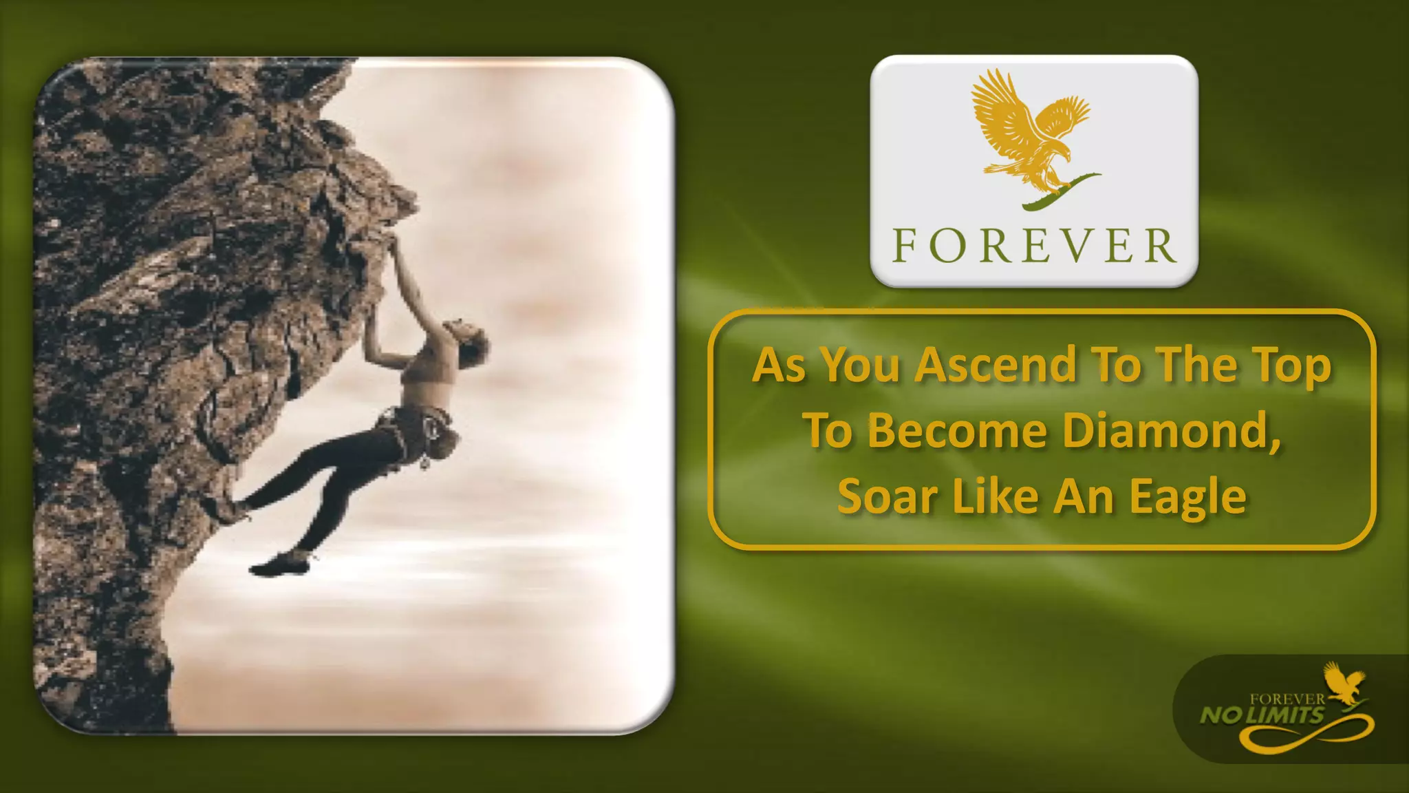 As You Ascend To The Top
To Become Diamond,
Soar Like An Eagle
 