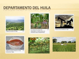DEPARTAMENTO DEL HUILA
 