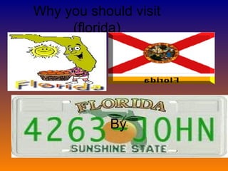 Why you should visit (florida) By : 