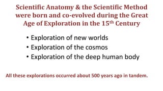 Scientific Anatomy & the Scientific Method
were born and co-evolved during the Great
Age of Exploration in the 15th Century
• Exploration of new worlds
• Exploration of the cosmos
• Exploration of the deep human body
All these explorations occurred about 500 years ago in tandem.
 