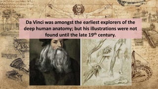 Da Vinci was amongst the earliest explorers of the
deep human anatomy; but his illustrations were not
found until the late 19th century.
 