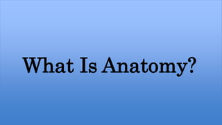 What Is Anatomy?
 