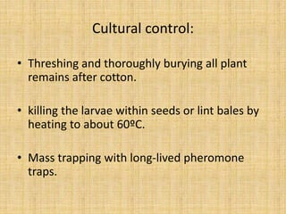 Cultural control:
• Threshing and thoroughly burying all plant
remains after cotton.
• killing the larvae within seeds or lint bales by
heating to about 60ºC.
• Mass trapping with long-lived pheromone
traps.
 