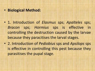 • Biological Method:
• 1. Introduction of Elasmus sps; Apalteles sps;
Bracon sps; Hormius sps is effective in
controlling the destruction caused by the larvae
because they paracitises the larval stages.
• 2. Introduction of Pediobius sps and Apsilops sps
is effective in controlling this pest because they
parasitises the pupal stage.
 