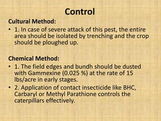 Control
Cultural Method:
• 1. In case of severe attack of this pest, the entire
area should be isolated by trenching and the crop
should be ploughed up.
Chemical Method:
• 1. The field edges and bundh should be dusted
with Gammexine (0.025 %) at the rate of 15
lbs/acre in early stages.
• 2. Application of contact insecticide like BHC,
Carbaryl or Methyl Parathione controls the
caterpillars effectively.
 
