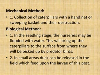 Mechanical Method:
• 1. Collection of caterpillars with a hand net or
sweeping basket and their destruction.
Biological Method:
• 1. In the seedling stage, the nurseries may be
flooded with water. This will bring up the
caterpillars to the surface from where they
will be picked up by predator birds.
• 2. In small areas duck can be released in the
field which feed upon the larvae of this pest.
 