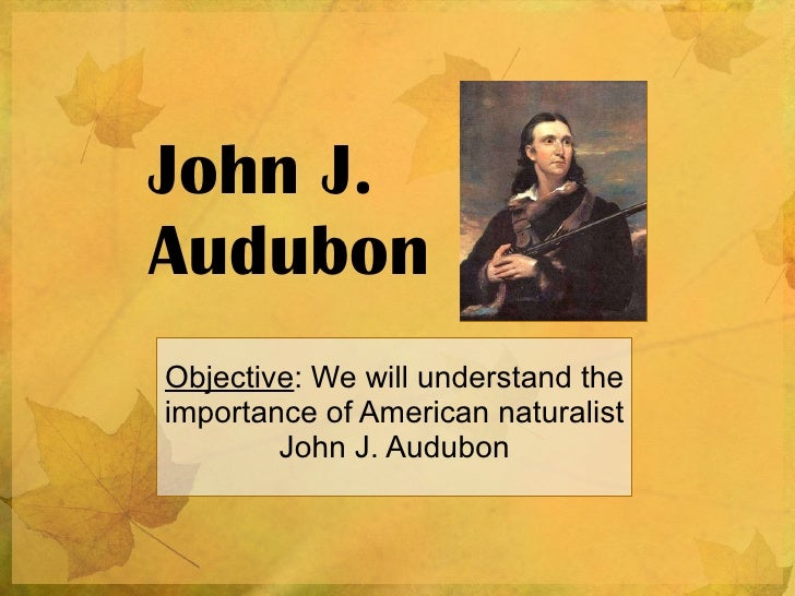 john j audubon pbworks john j audubon pbworks