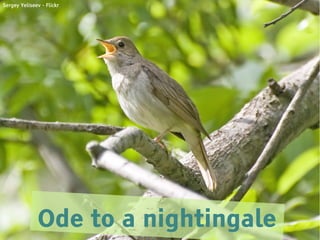 Sergey Yeliseev - Flickr




              Ode to a nightingale
 