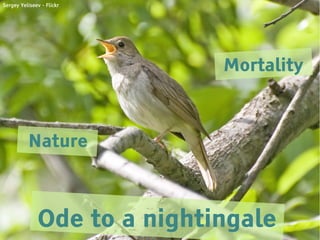 Sergey Yeliseev - Flickr




                             Mortality



          Nature



              Ode to a nightingale
 