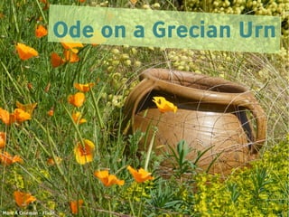 Ode on a Grecian Urn




Mark A Coleman - Flickr
 
