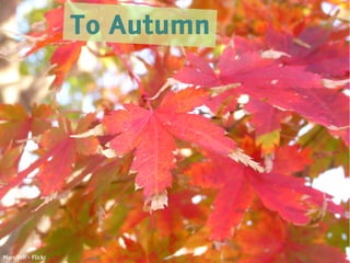 To Autumn




Marufish - Flickr
 