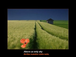 Above us only sky   Arriba nuestro cielo solo . 