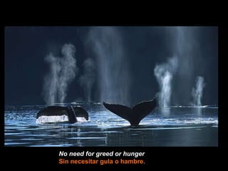 No need for greed or hunger   Sin necesitar gula o hambre. 