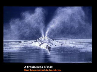 A brotherhood of man   Una hermandad de hombres. 