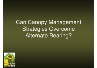Can Canopy Management
  Strategies Overcome
   Alternate Bearing?
 