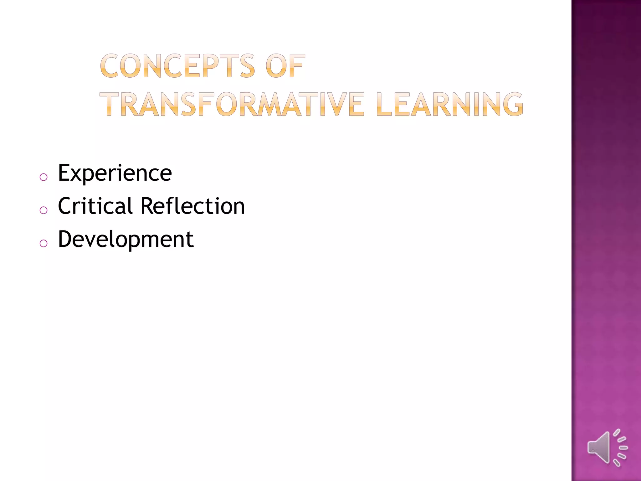 o Experience
o Critical Reflection
o Development
 