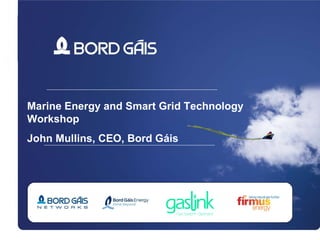 Marine Energy and Smart Grid Technology Workshop John Mullins, CEO, Bord G áis 
