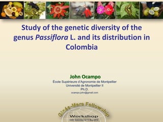 Study of the genetic diversity of the
genus Passiflora L. and its distribution in
               Colombia
 