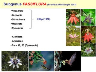 Study of the genetic diversity of the genus PassifloraL. and its distribution in Colombia