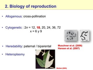 Study of the genetic diversity of the genus PassifloraL. and its distribution in Colombia