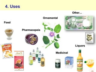 Study of the genetic diversity of the genus PassifloraL. and its distribution in Colombia