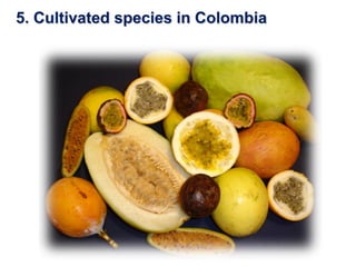 Study of the genetic diversity of the genus PassifloraL. and its distribution in Colombia