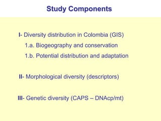 Study of the genetic diversity of the genus PassifloraL. and its distribution in Colombia
