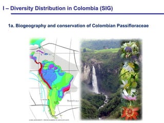 Study of the genetic diversity of the genus PassifloraL. and its distribution in Colombia