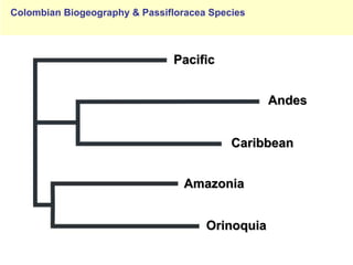 Study of the genetic diversity of the genus PassifloraL. and its distribution in Colombia