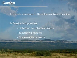Study of the genetic diversity of the genus PassifloraL. and its distribution in Colombia