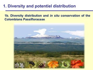 Study of the genetic diversity of the genus PassifloraL. and its distribution in Colombia