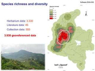 Study of the genetic diversity of the genus PassifloraL. and its distribution in Colombia