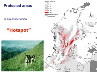 Study of the genetic diversity of the genus PassifloraL. and its distribution in Colombia