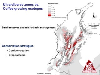 Study of the genetic diversity of the genus PassifloraL. and its distribution in Colombia