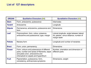 Study of the genetic diversity of the genus PassifloraL. and its distribution in Colombia