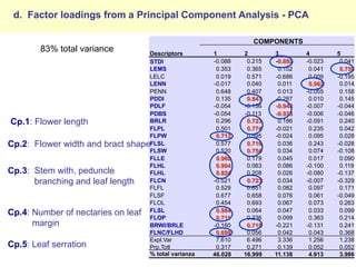 Study of the genetic diversity of the genus PassifloraL. and its distribution in Colombia