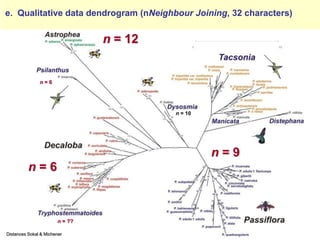 Study of the genetic diversity of the genus PassifloraL. and its distribution in Colombia