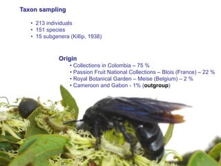 Study of the genetic diversity of the genus PassifloraL. and its distribution in Colombia