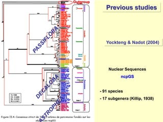 Study of the genetic diversity of the genus PassifloraL. and its distribution in Colombia