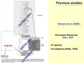 Study of the genetic diversity of the genus PassifloraL. and its distribution in Colombia