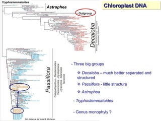 Study of the genetic diversity of the genus PassifloraL. and its distribution in Colombia