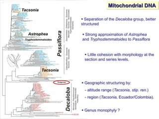Study of the genetic diversity of the genus PassifloraL. and its distribution in Colombia